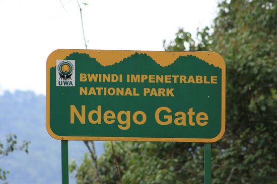 Bwindi Impenetrable National Park